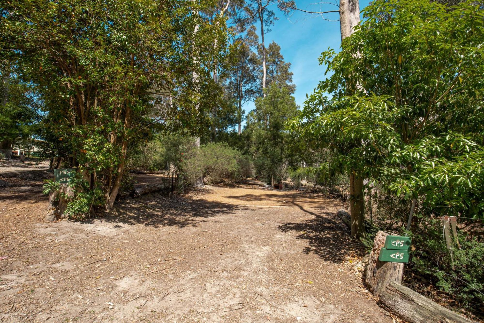Durras Lake North Holiday Park Esterno foto